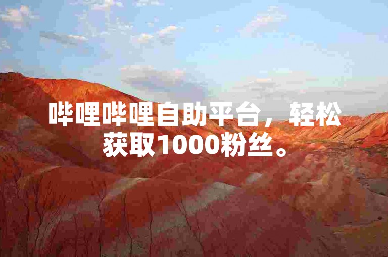 哔哩哔哩自助平台，轻松获取1000粉丝。