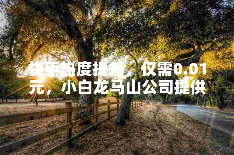 快手热度提升，仅需0.01元，小白龙马山公司提供抖音官方服务。