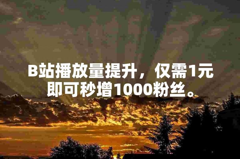 B站播放量提升，仅需1元即可秒增1000粉丝。