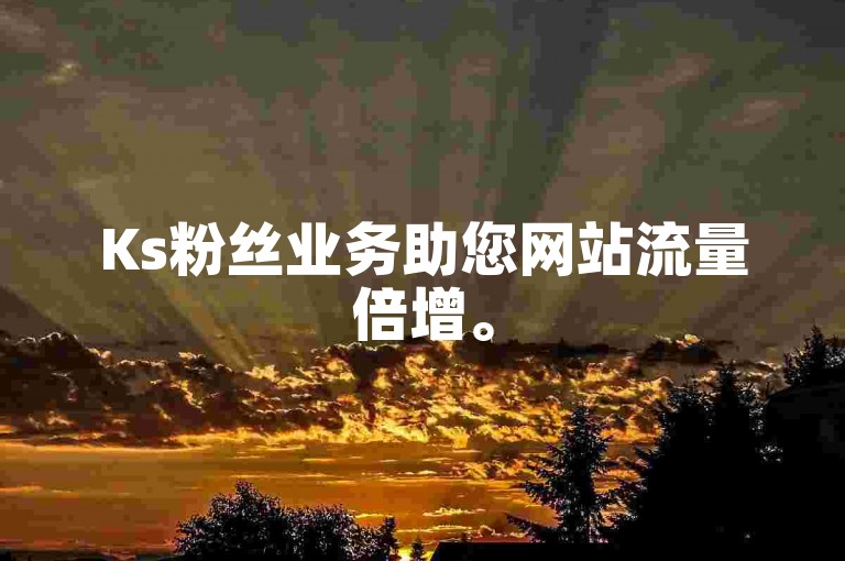 Ks粉丝业务助您网站流量倍增。