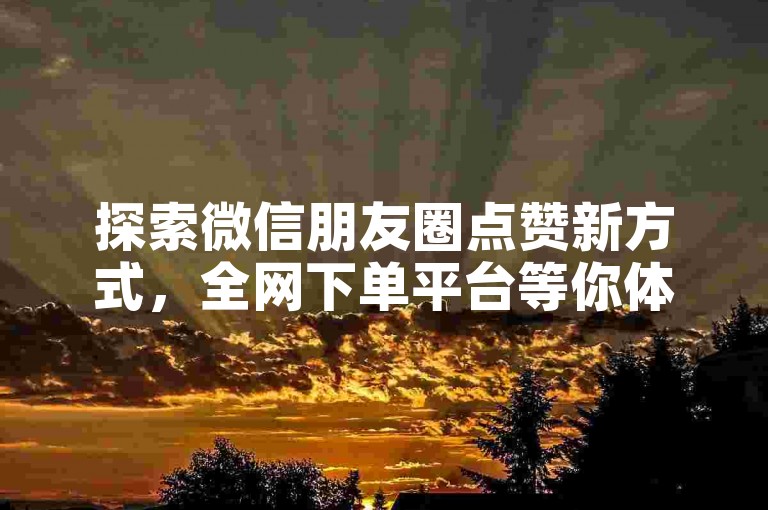 探索微信朋友圈点赞新方式，全网下单平台等你体验。