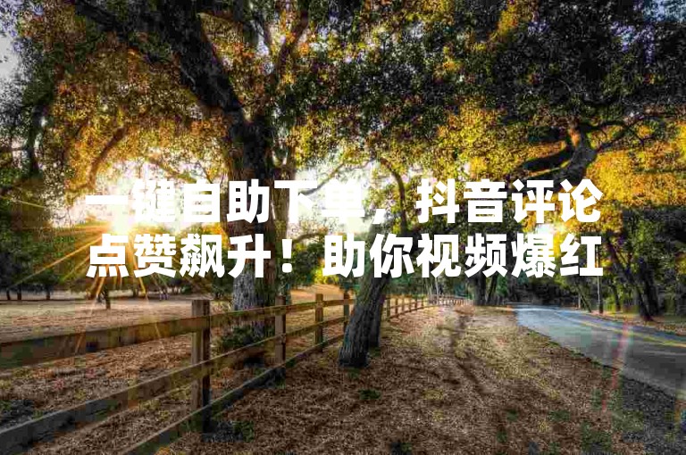 一键自助下单，抖音评论点赞飙升！助你视频爆红，吸引海量关注！