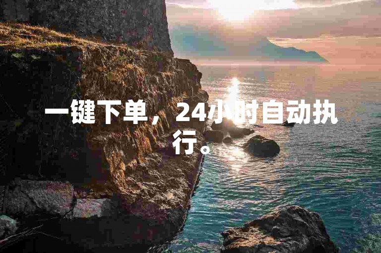 一键下单，24小时自动执行。