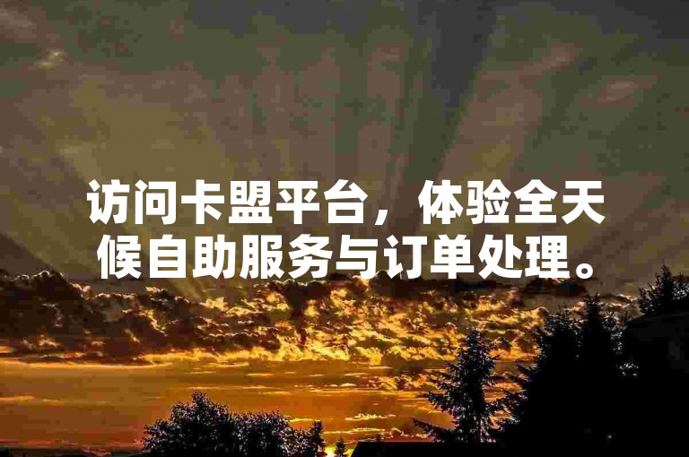 访问卡盟平台，体验全天候自助服务与订单处理。