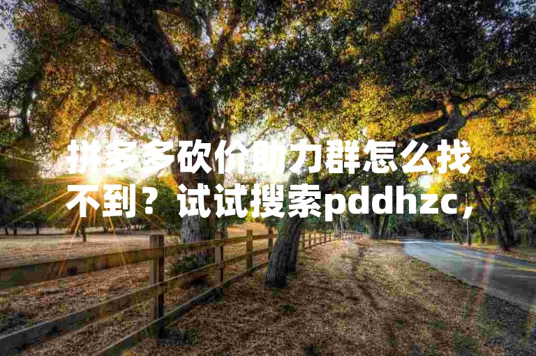 拼多多砍价助力群怎么找不到？试试搜索pddhzc，找到互助群，轻松砍价！