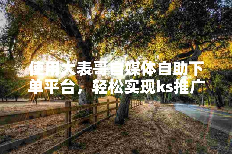 使用大表哥自媒体自助下单平台，轻松实现ks推广。