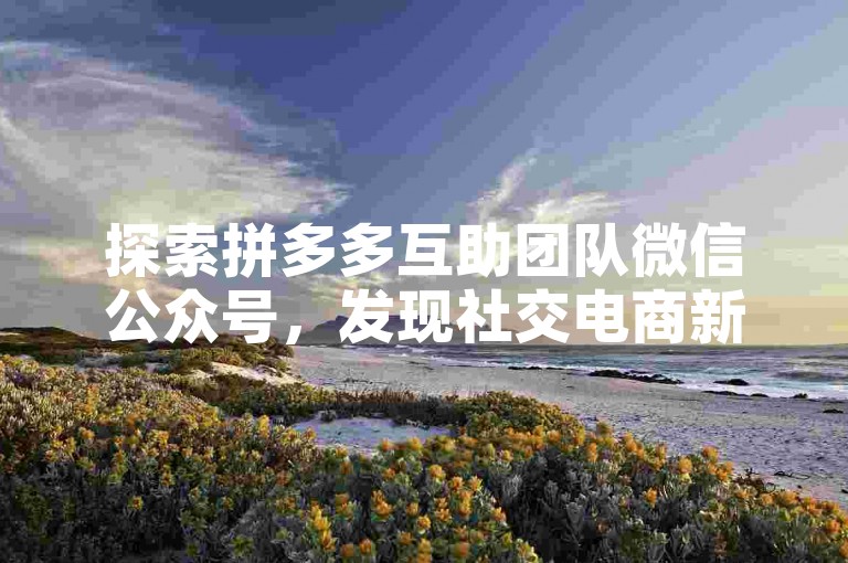 探索拼多多互助团队微信公众号，发现社交电商新机遇。