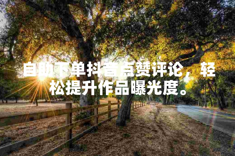 自助下单抖音点赞评论，轻松提升作品曝光度。