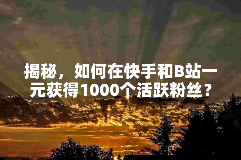 揭秘，如何在快手和B站一元获得1000个活跃粉丝？