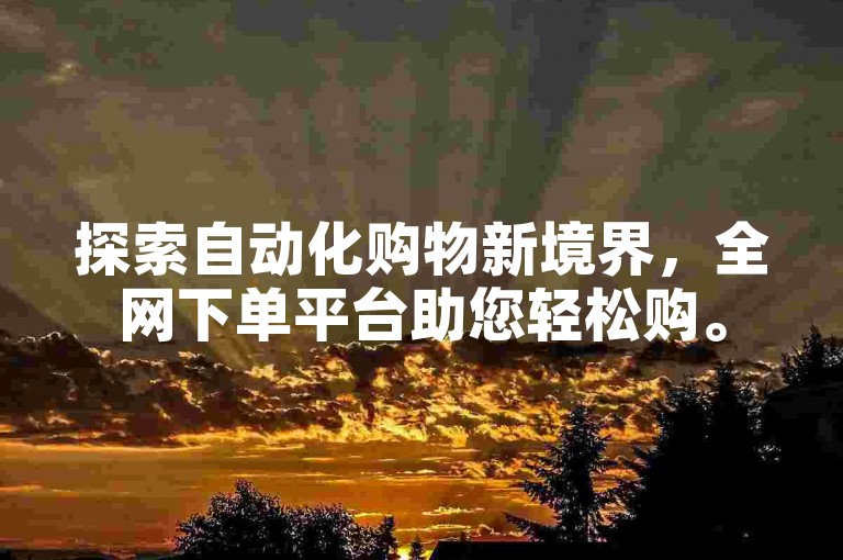 探索自动化购物新境界，全网下单平台助您轻松购。