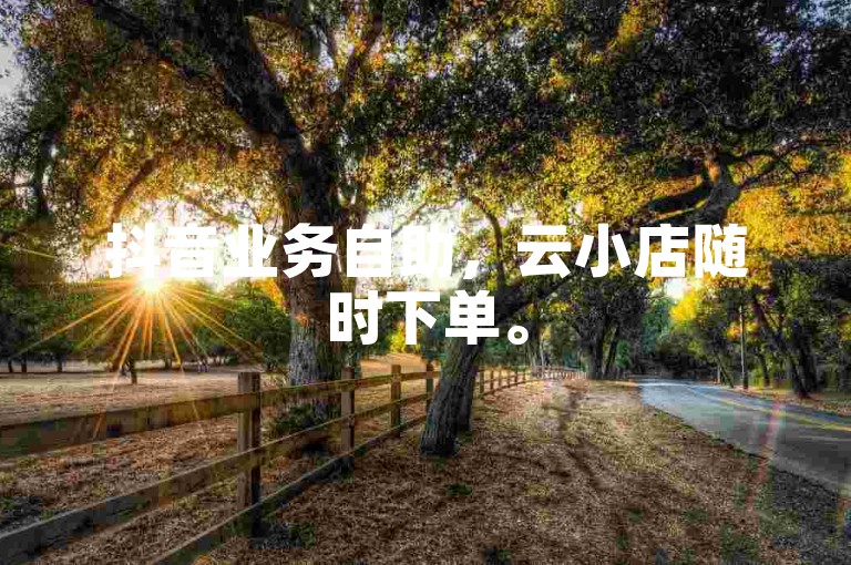抖音业务自助，云小店随时下单。