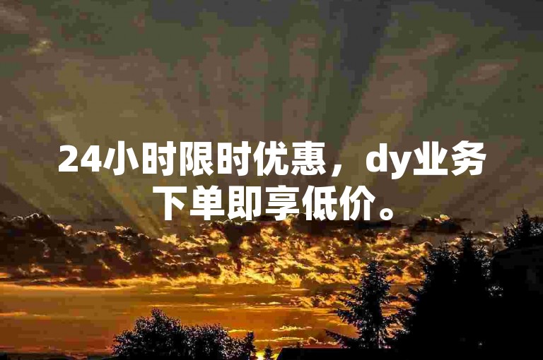 24小时限时优惠，dy业务下单即享低价。
