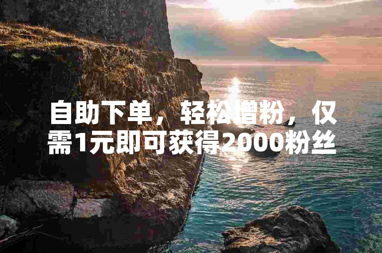 自助下单，轻松增粉，仅需1元即可获得2000粉丝。