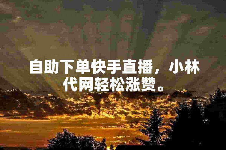 自助下单快手直播，小林代网轻松涨赞。