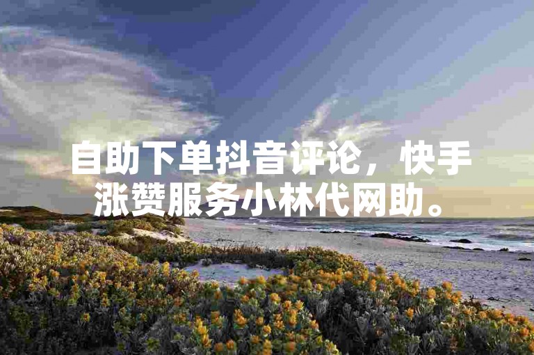 自助下单抖音评论，快手涨赞服务小林代网助。