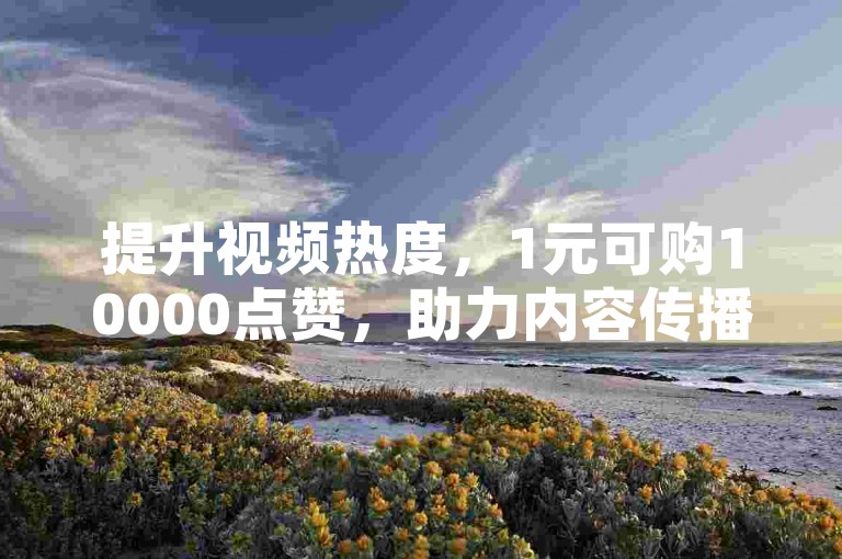 提升视频热度，1元可购10000点赞，助力内容传播。