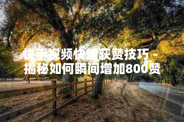快手视频快速获赞技巧 - 揭秘如何瞬间增加800赞！