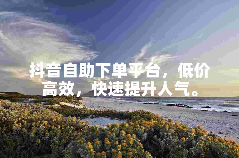 抖音自助下单平台，低价高效，快速提升人气。