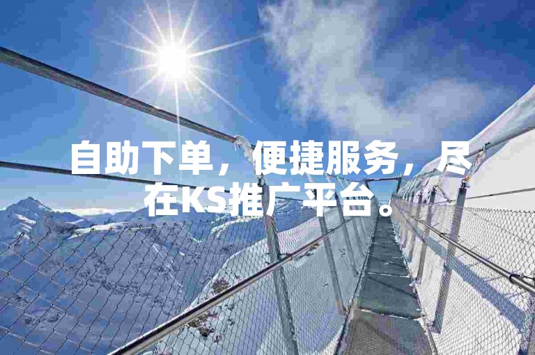 自助下单，便捷服务，尽在KS推广平台。