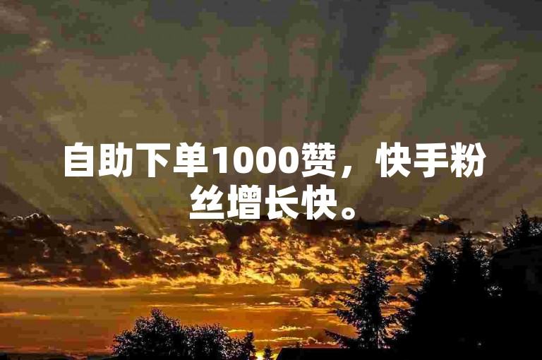 自助下单1000赞，快手粉丝增长快。