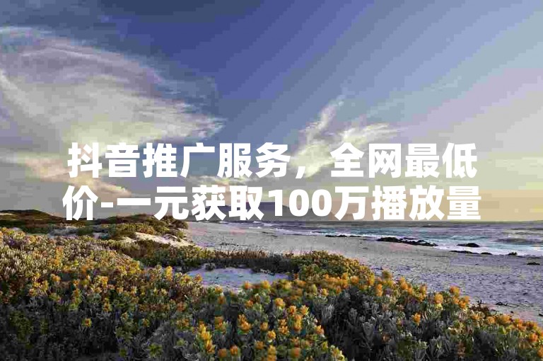 抖音推广服务，全网最低价-一元获取100万播放量。