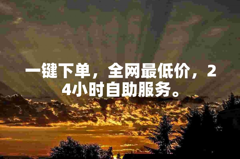 一键下单，全网最低价，24小时自助服务。