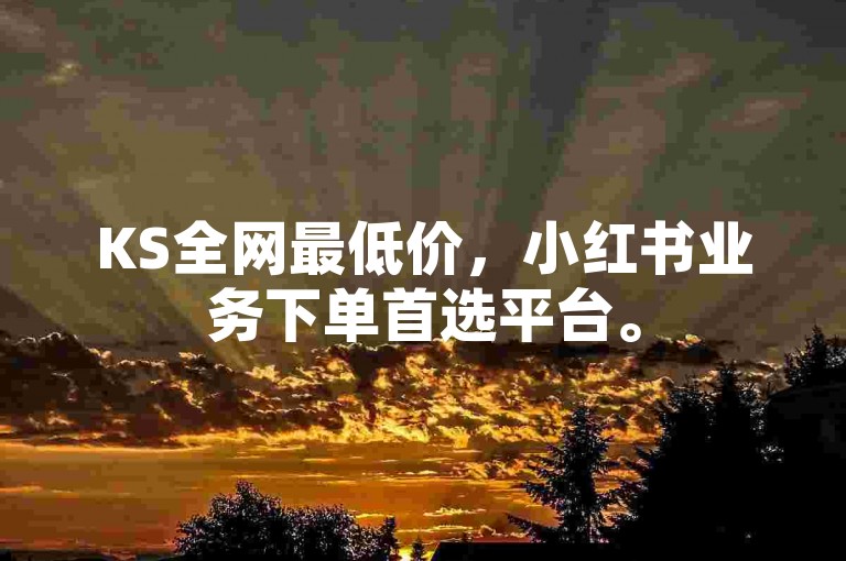 KS全网最低价，小红书业务下单首选平台。