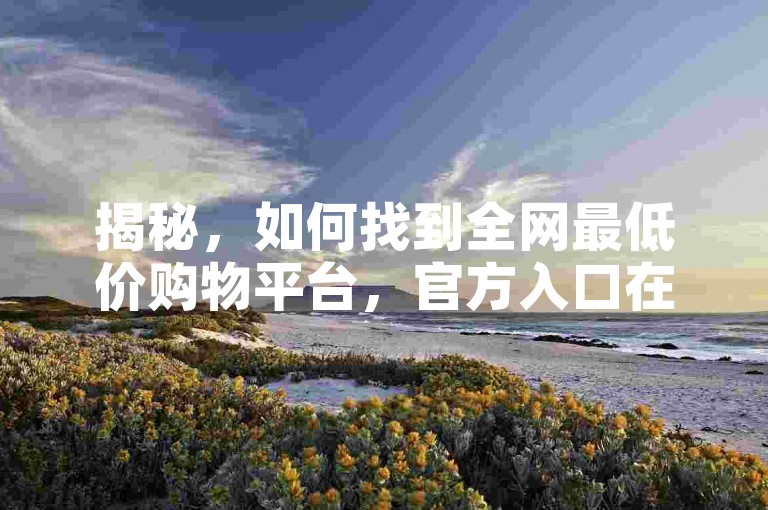 揭秘，如何找到全网最低价购物平台，官方入口在此！