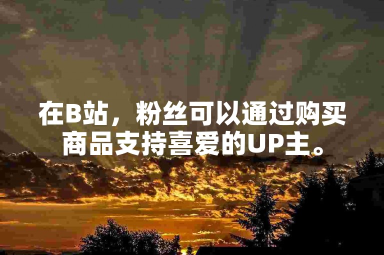 在B站，粉丝可以通过购买商品支持喜爱的UP主。