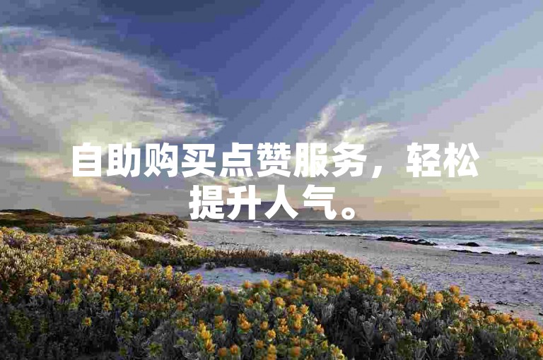 自助购买点赞服务，轻松提升人气。