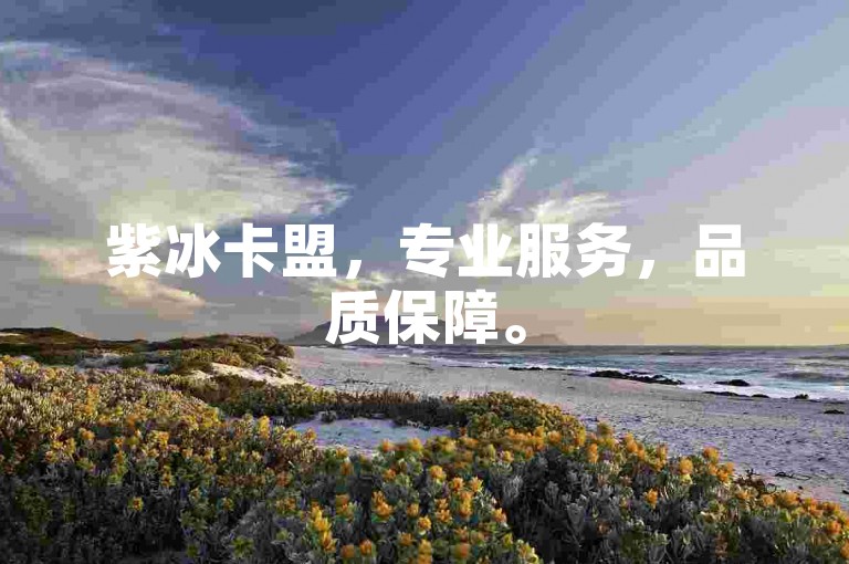 紫冰卡盟，专业服务，品质保障。