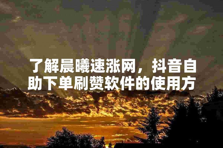 了解晨曦速涨网，抖音自助下单刷赞软件的使用方法。