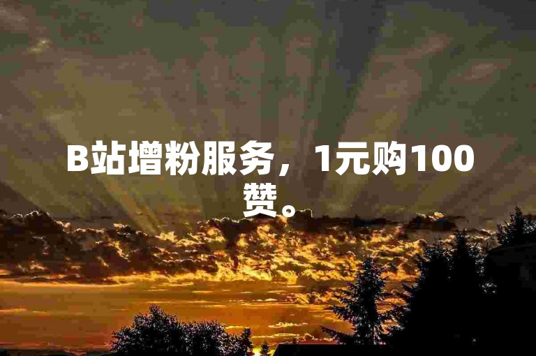 B站增粉服务，1元购100赞。