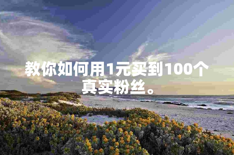 教你如何用1元买到100个真实粉丝。