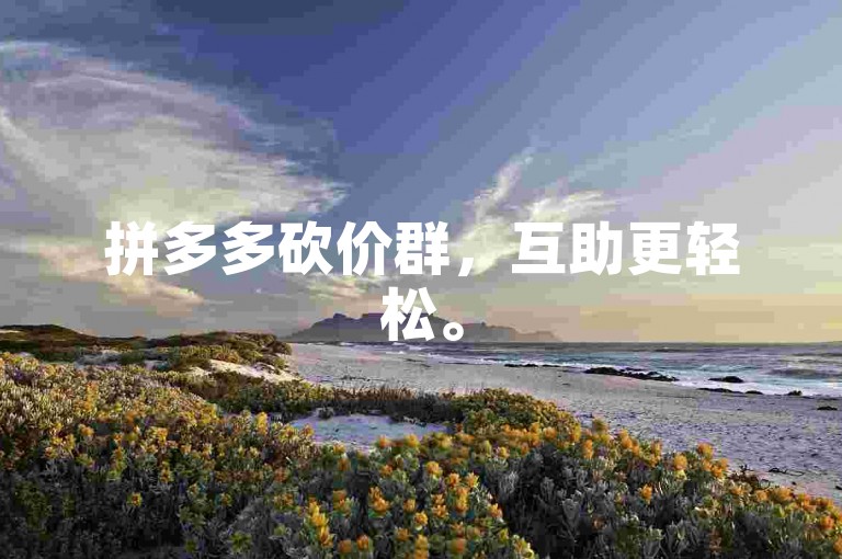 拼多多砍价群，互助更轻松。