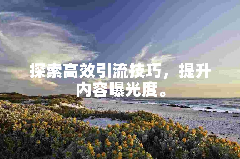 探索高效引流技巧，提升内容曝光度。
