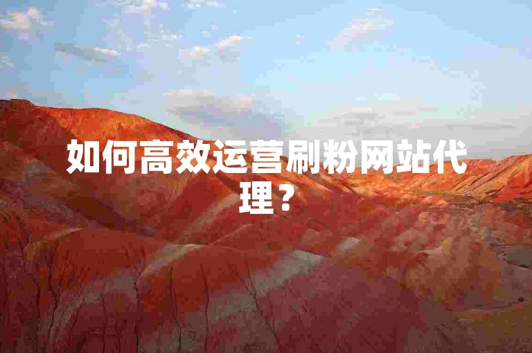 如何高效运营刷粉网站代理？