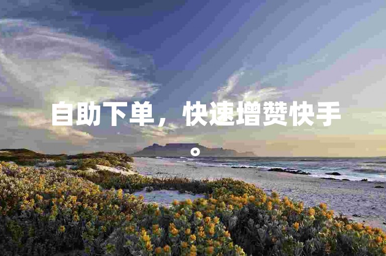 自助下单，快速增赞快手。