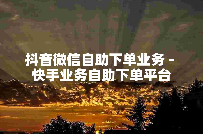 抖音微信自助下单业务 - 快手业务自助下单平台