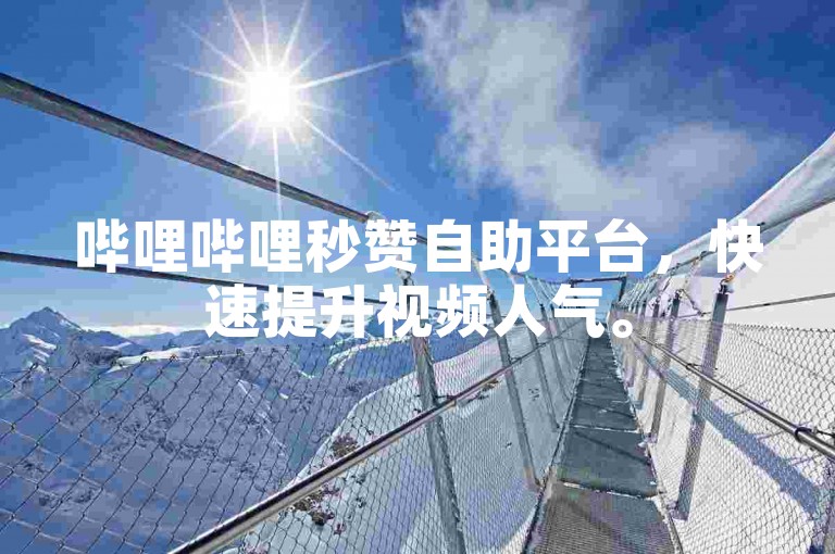哔哩哔哩秒赞自助平台，快速提升视频人气。