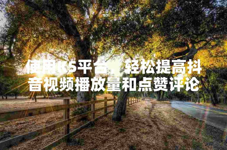 使用KS平台，轻松提高抖音视频播放量和点赞评论。