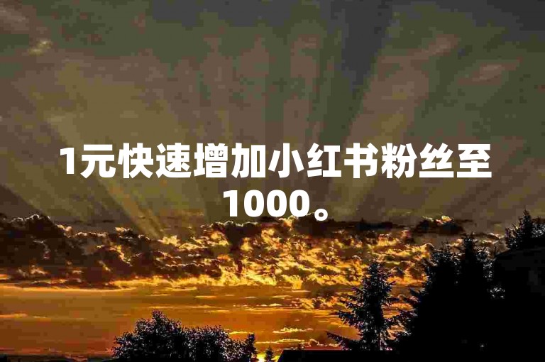 1元快速增加小红书粉丝至1000。