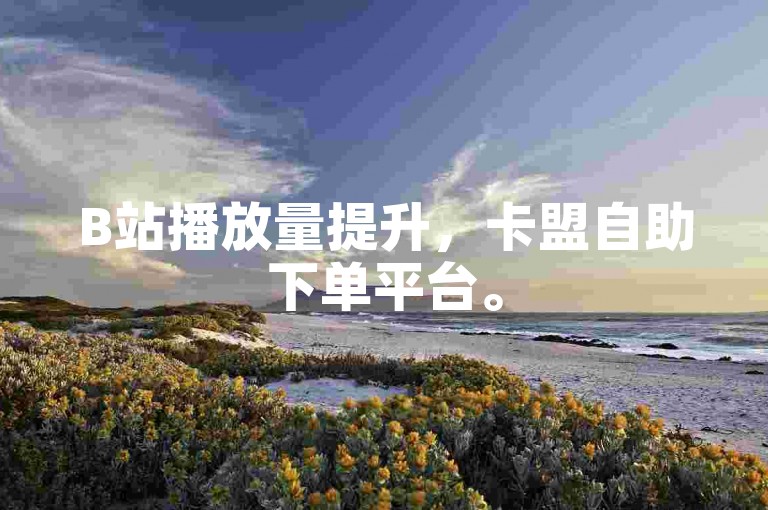 B站播放量提升，卡盟自助下单平台。