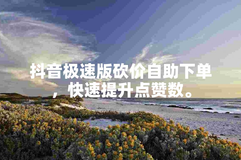 抖音极速版砍价自助下单，快速提升点赞数。