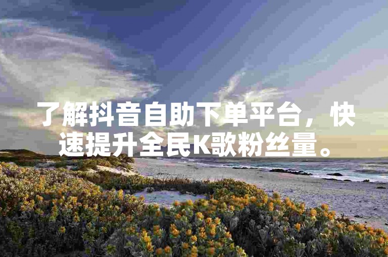 了解抖音自助下单平台，快速提升全民K歌粉丝量。