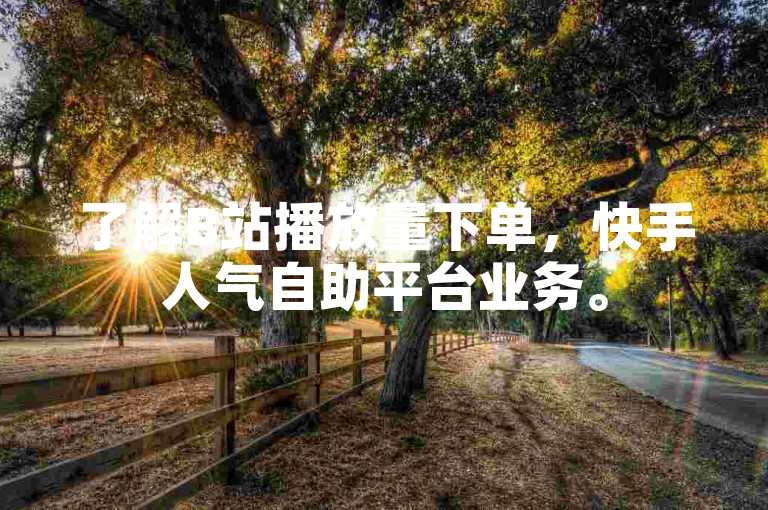 了解B站播放量下单，快手人气自助平台业务。