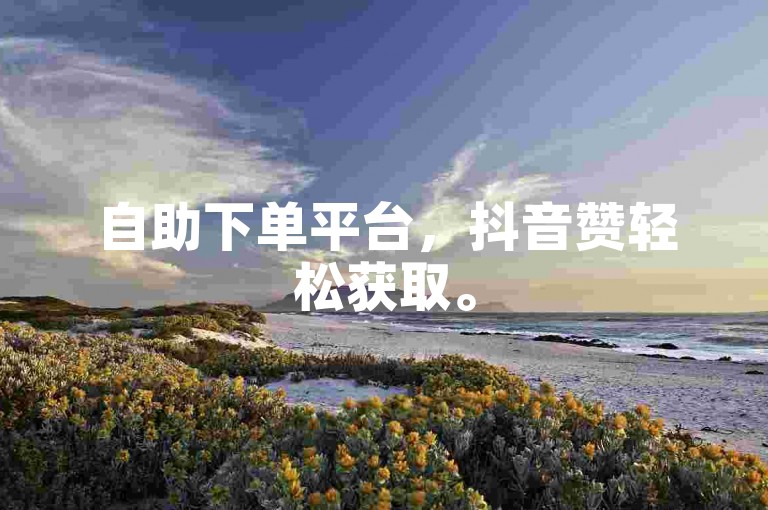 自助下单平台，抖音赞轻松获取。