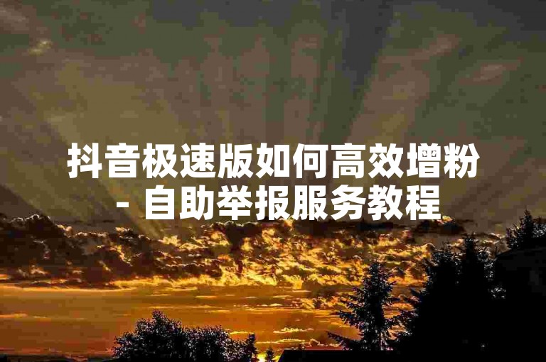 抖音极速版如何高效增粉 - 自助举报服务教程