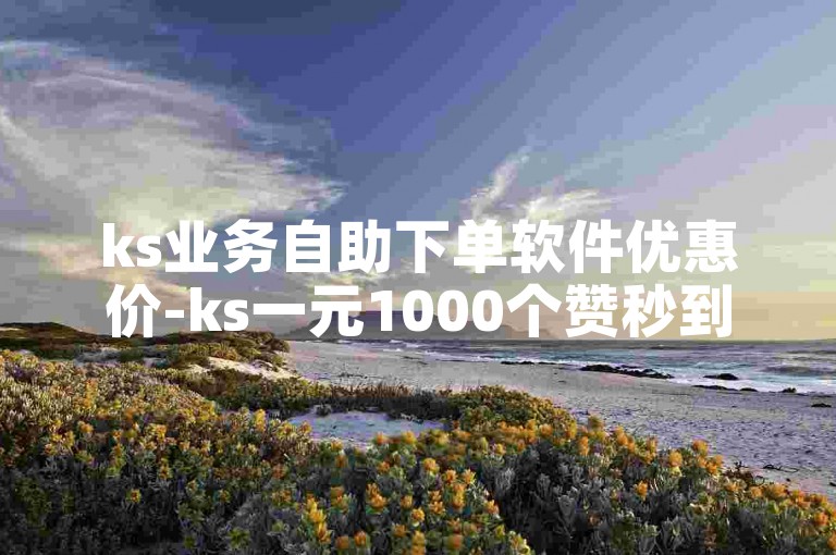 ks业务自助下单软件优惠价-ks一元1000个赞秒到账软件