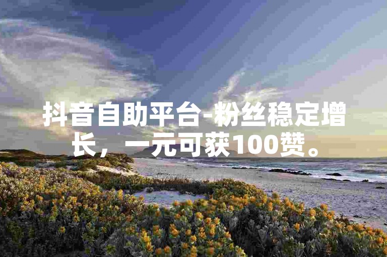 抖音自助平台-粉丝稳定增长，一元可获100赞。